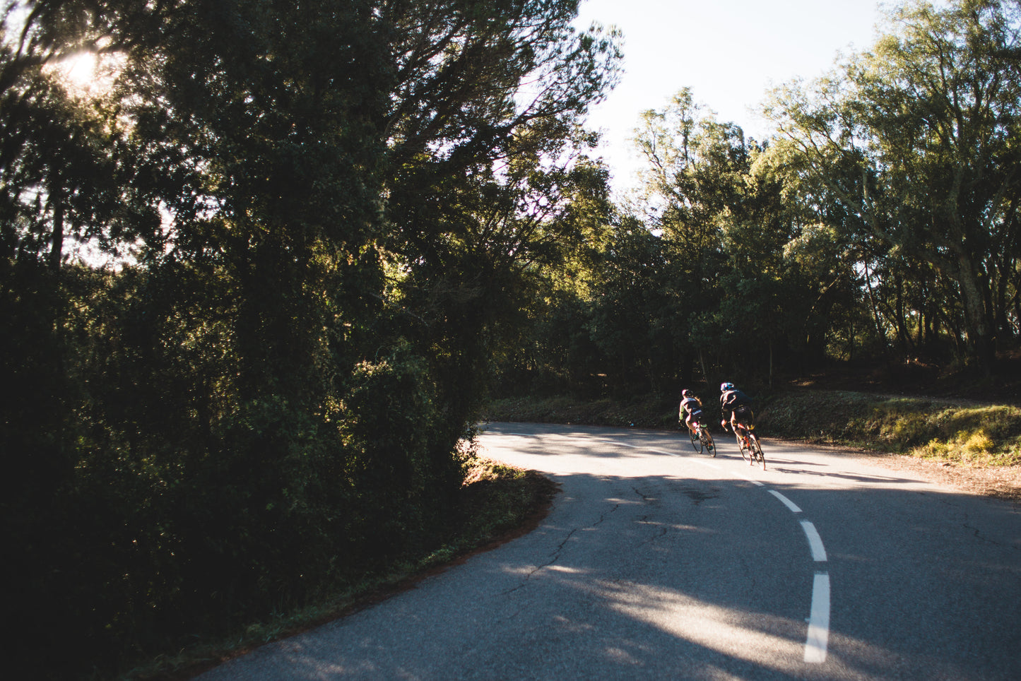 Best Cycling Supplements